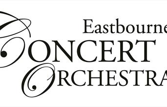 Eastbourne Concert Orchestra Christmas Concert