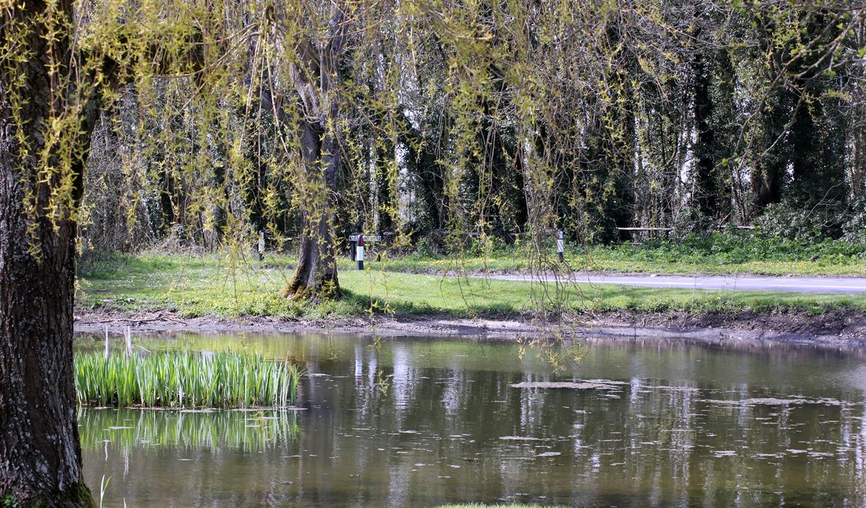 Friston Pond