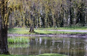 Friston Pond