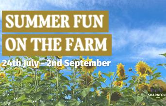Summer Fun at Sharnfold Farm