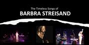Barbara Streisand tribute