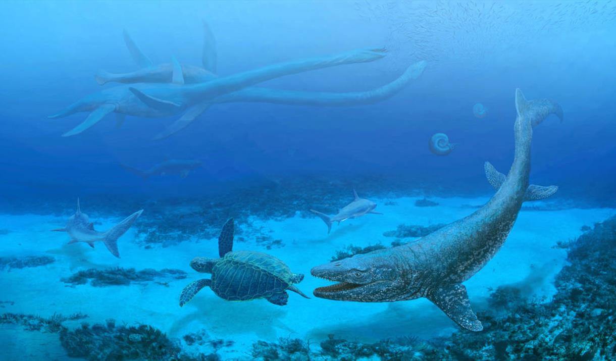 prehistoric sea creatures swimming around the bottom of deep blue water