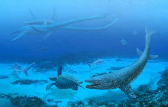 prehistoric sea creatures swimming around the bottom of deep blue water
