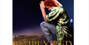 Simply Red Tribute Show