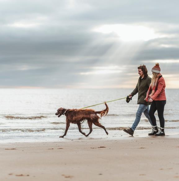 can you take dogs on the beach at bridlington