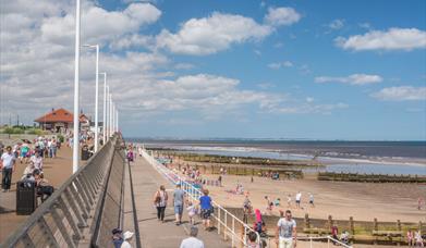 can you walk dogs on hornsea beach