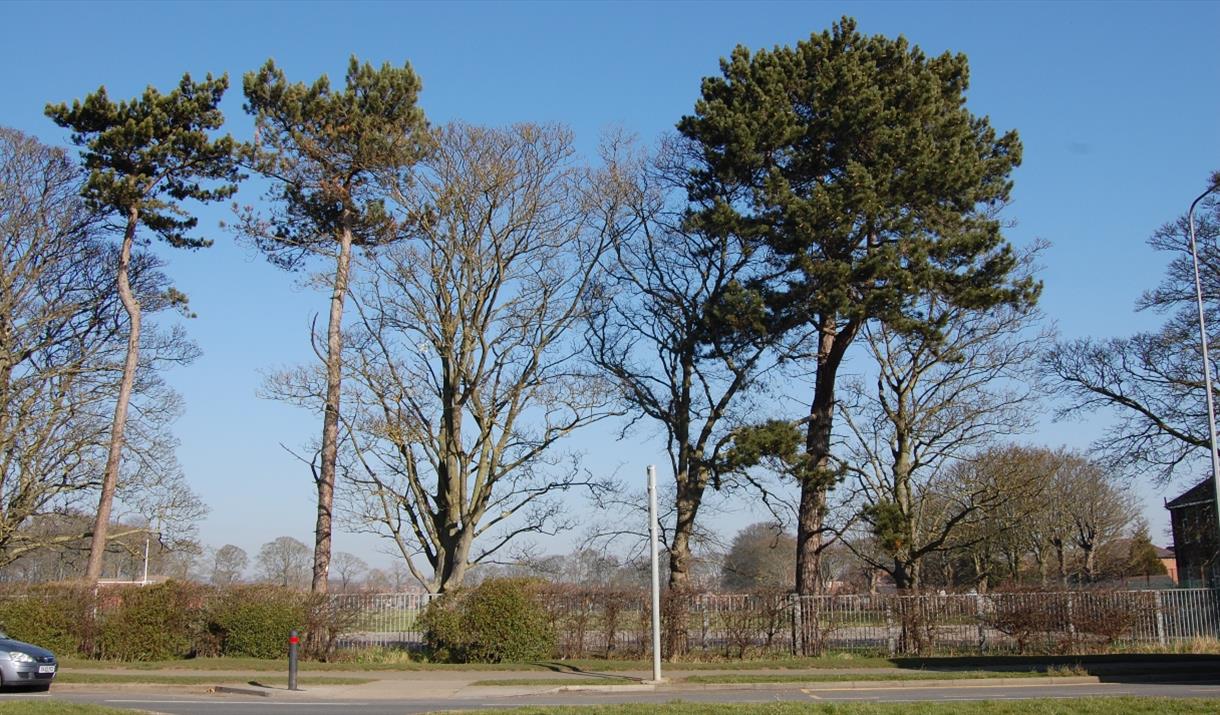 Bessingby Road Hockney Location East Yorkshire