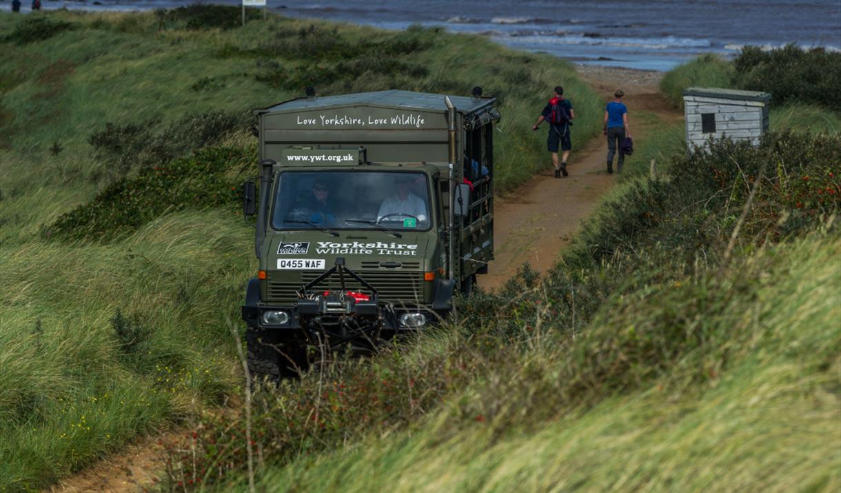 Spurn Safaris Yorkshire Wildlife Trust East Yorkshire
