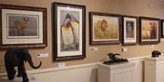 Framed animal portraits on the walls at Robert Fuller Gallery, in East Yorkshire