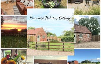 A composite image of the interior and exterior, a welcome hamper, and Oscar at Primrose Holiday Cottage, Winestead, East Yorkshire