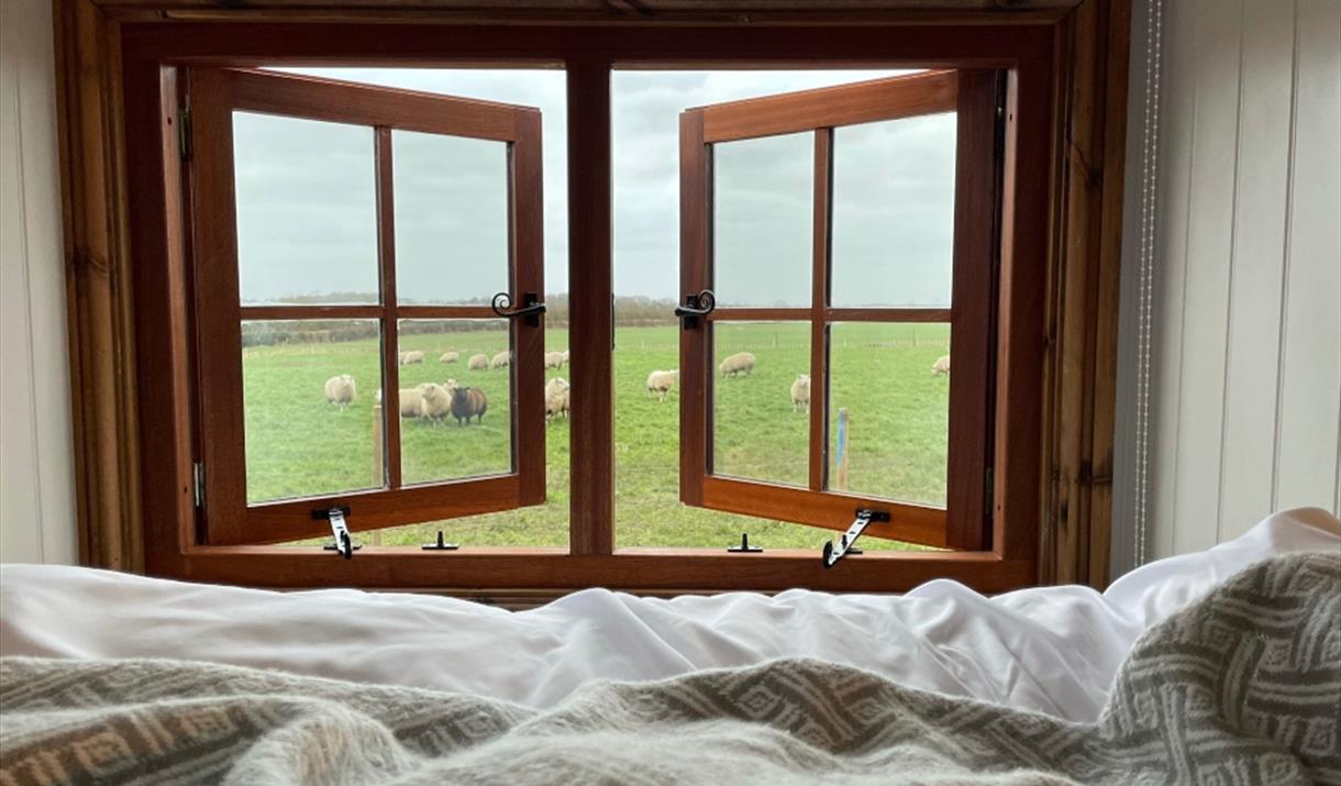 An image of the view from the bedroom window, overlooking the sheep field, at The Shepherds Retreat