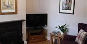The  living room, with 3 seater sofa, single chair, fireplace and television at Dragonfly Cottage in East Yorkshire.