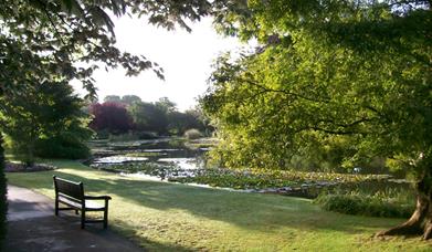 A shady area around the pond at Burnby Hall and Gardens in East Yorkshire.