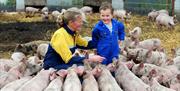 An adult and child surrounded by a circle of piglets at Anna's Happy Trotters, in East Yorkshire