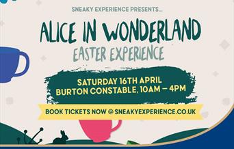 An image of the Alice in Wonderland Banner for Burton Constable Event.