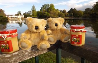 Teddy bears sat with honey, waiting for their picnic