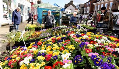 A plant stall at Pocklington market in East Yorkshire.