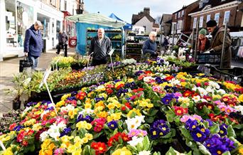 A plant stall at Pocklington market in East Yorkshire.