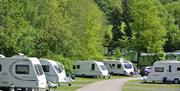 Touring camper pitches at Waterfoot Park in Pooley Bridge, Lake District