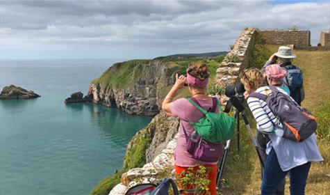English Riviera Walking Festival