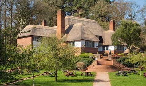 Beer gardens on The English Riviera, Devon