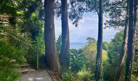 International Women’s Day: Meet the gardeners at Coleton Fishacre