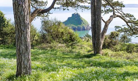 Why should you visit the English Riviera in Spring?