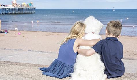 Dog friendly English Riviera