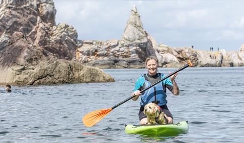 Dog Friendly B&Bs in Torquay