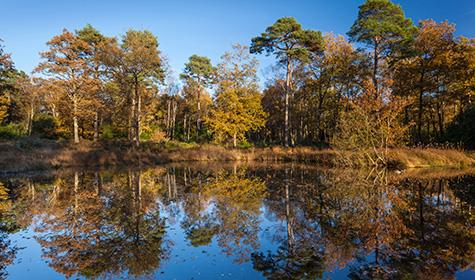 Explore Newton Abbot