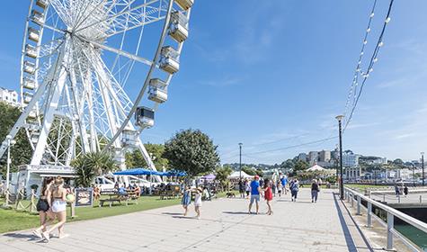 Top 10 Things To Do in Torquay