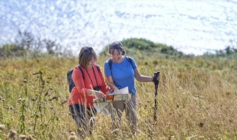 Discover Hidden Gems and Brand-New Experiences at the English Riviera Walking Festival 2025