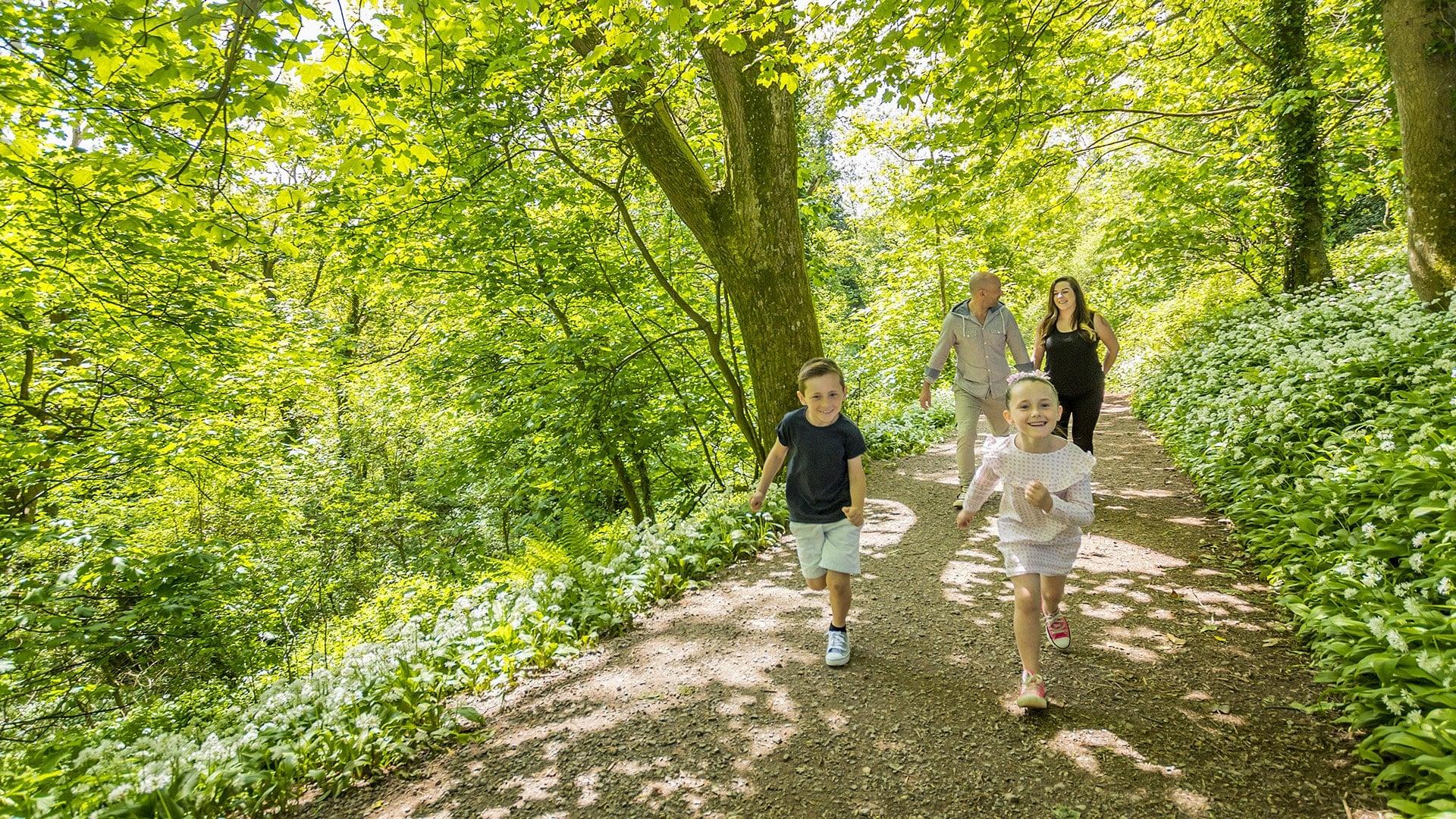 Top 10 Woodland Walks English Riviera Torquay, Paignton & Brixham Devon