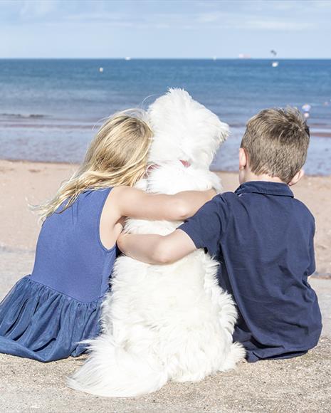 Dog friendly English Riviera