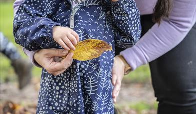 Child playing with a leaf  Little Acorn Welly Walks Coleton Fishacre National Trust