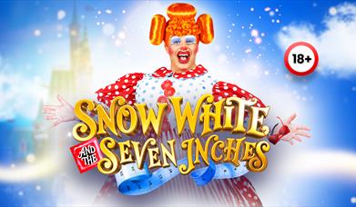 image of a pantomine dame