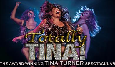 Totally Tina Babbacombe Theatre, performer picture on stage