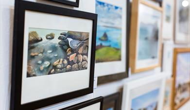 English Riviera Winter Open Exhibition Launch