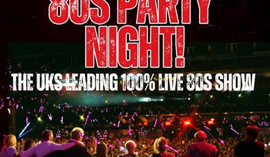 80s Party Night! picture of various artists singing on stage