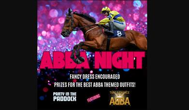 Newton Abbot poster with a horse jumping and the Abba logo in pink