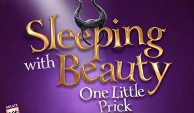 Sleeping with Beauty - Adult Panto Palace Theatre Paignton
