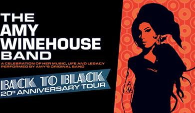 The Amy Winehouse Band, Princess Theatre, Torquay