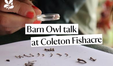 Barn owl talk at Coleton Fishacre