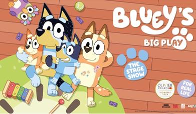 Bluey's Big Play, Princess Theatre, Torquay, Devon