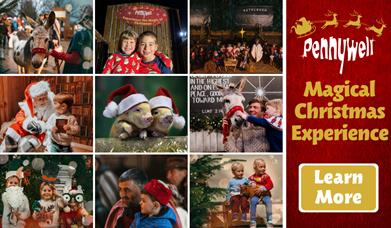 Magical Christmas Experience at Pennywell Farm!