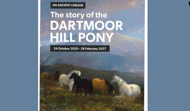 An Ancient Lineage: The Story of the Dartmoor Hill Pony Exhibition at Torquay Museum