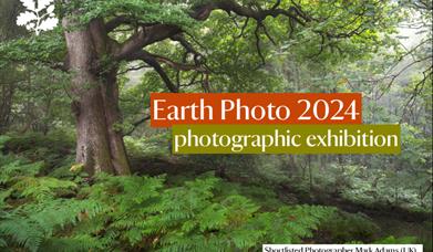 Image of a forest with text in front saying "Earth photo 2024 exhibition"