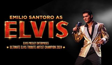 EMILIO SANTORO as ELVIS