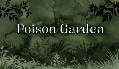 Exhibition Header