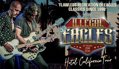 The Illegal Eagles, Princess Theatre, Torquay